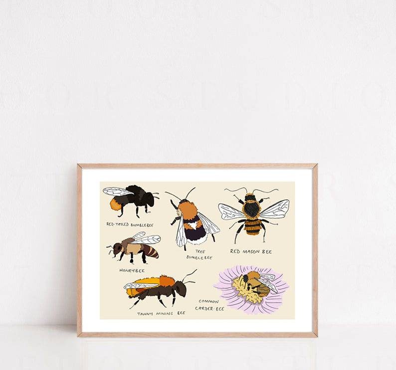 British Bees A4 Print Gardeners Bee Lovers image 1