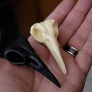 Raven Skull