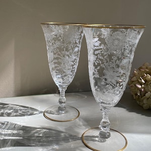 Cambridge Wildflower Ice Tea Glasses ( Set 2)