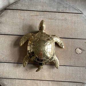 Door Knocker ~ Solid Brass Turtle