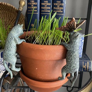Könnte beinhalten: Ein Terrakotta-Topf mit grünem Gras, flankiert von zwei grauen Katzenfiguren, die die Seite hochklettern. Ein bronzefarbener Schmetterling ruht auf dem Gras. Drei blaue Bücher mit goldener Schrift sind im Hintergrund.