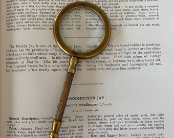 Book Companion ~ Hughes Magnifying Glass ~Antiqued Brass
