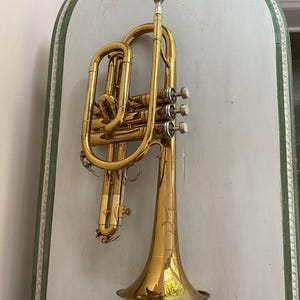 May include: A brass cornet with a polished finish, mounted on a light gray, oval-shaped plaque with a green border. The cornet features valves, tubing, and a bell, reflecting the surrounding light.