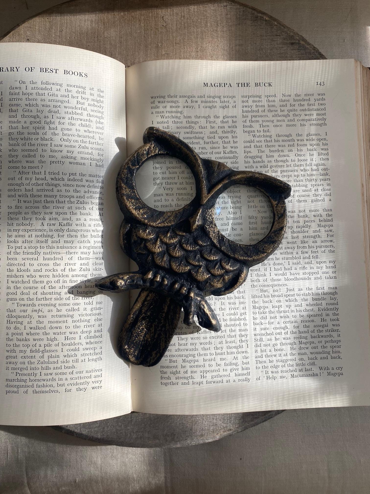 Unique Standing Owl Magnifier