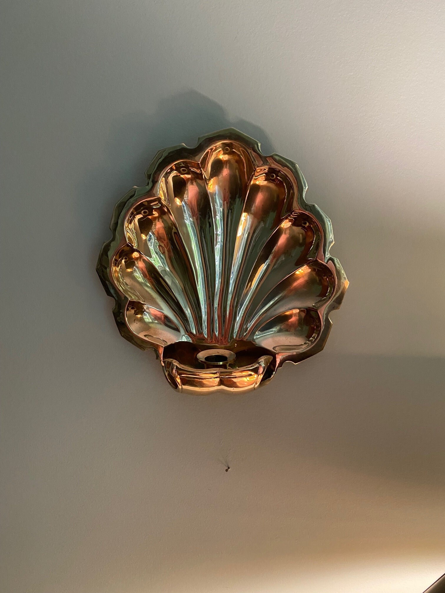 Decorative Crafts Shell Wall Sconce ~qty 1 - Etsy
