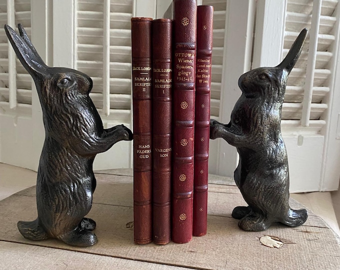 Whimsical Iron Bunny Bookends ( Pair)