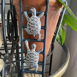 May include: A terracotta-colored flower pot with a decorative metal ladder featuring two climbing turtles. The ladder is painted dark blue and the turtles are detailed with a white and gray pattern. Green leaves are visible.