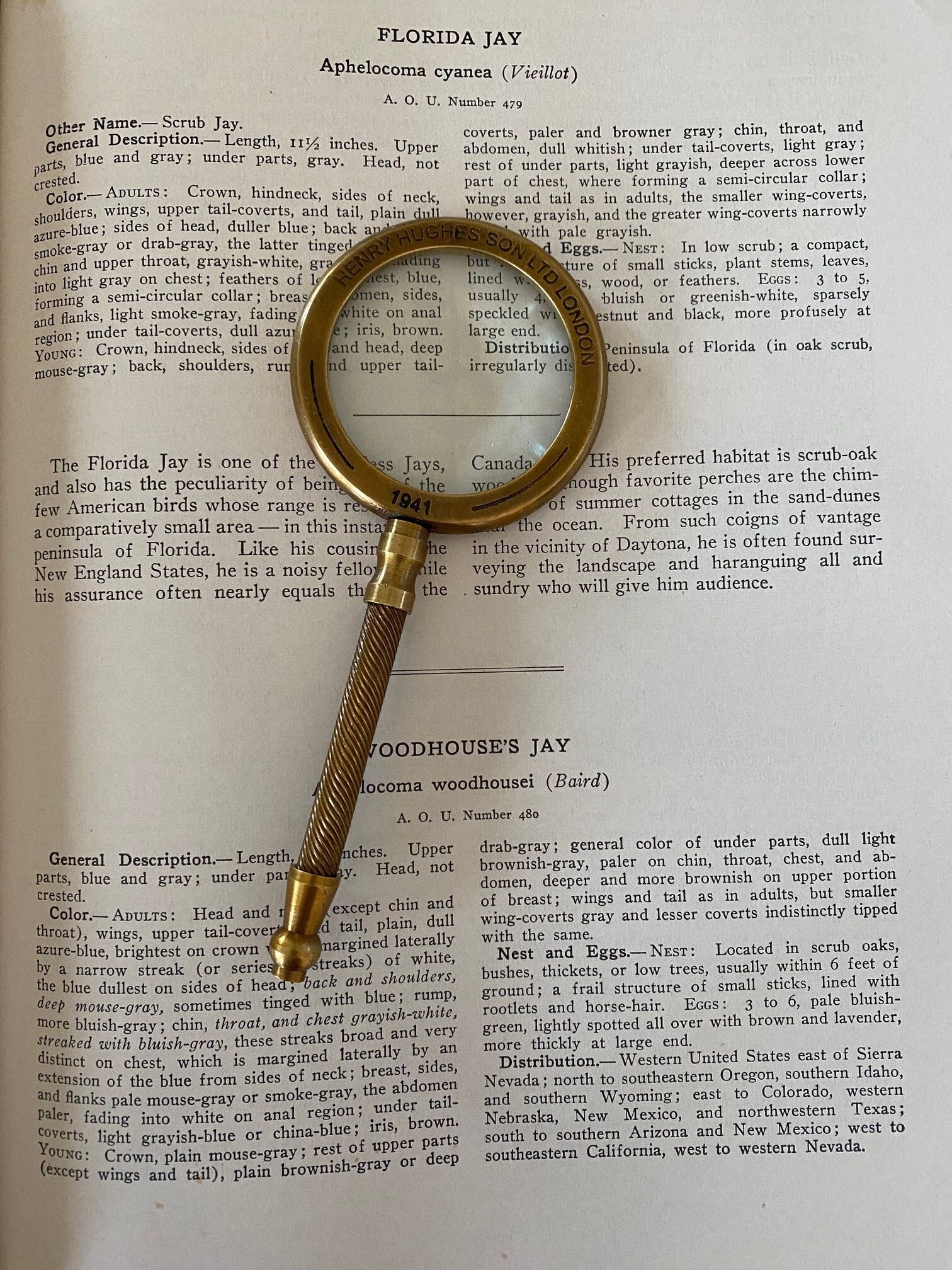 Antique magnifying glass - Etsy 日本