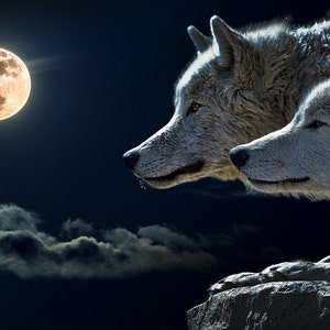 Who is your spirit animal? Messages and guidance totem animal spiritual medium psychic reading