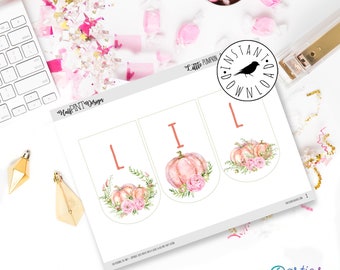 Little Pumpkin Baby Shower Banner, fall baby shower, Floral pink and coral girl baby shower decor, lil pumpkin baby: INSTANT DOWNLOAD