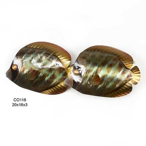 Butterfly Fish CO118 Metal Wall Fish