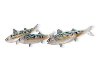 Atlantic Mackerel Triple - MM223