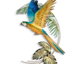 Blue and Gold Macaw MM095