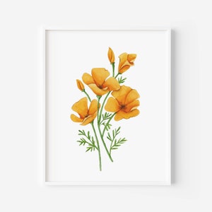 California Poppy Watercolor Painting, California Poppies Print, California State Flower, California Poppy Print,  California Wall Art