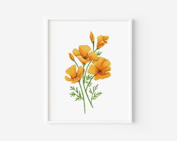 California Poppies Watercolor Flowers Cool Shirt Gift California Poppies Watercolor Flowers Cool Shirt Gift