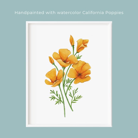 California Poppies Watercolor Flowers Cool Shirt Gift California Poppies Watercolor Flowers Cool Shirt Gift