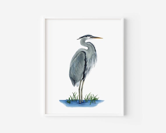 Great Blue Heron Watercolor Blue Heron Art Print California - Etsy