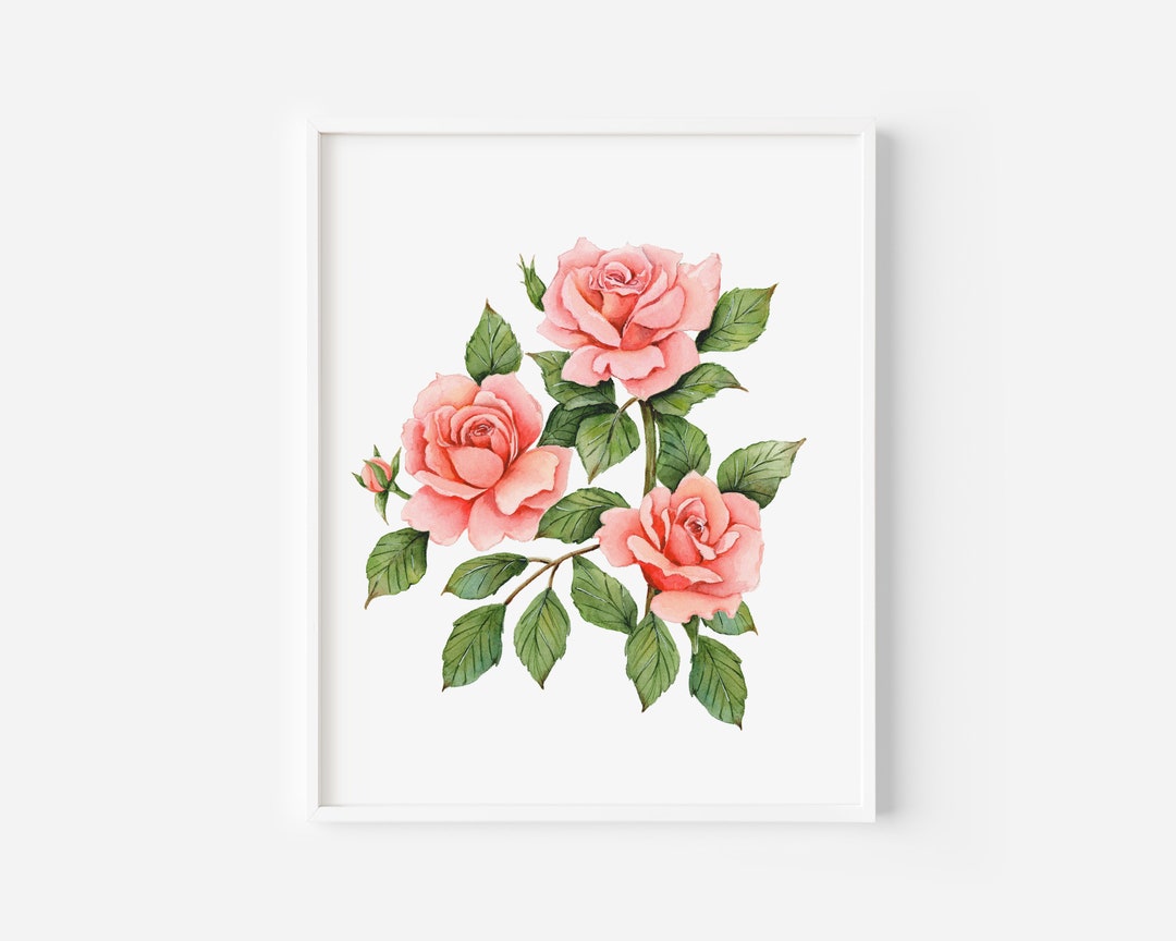 Pink Garden Roses Watercolor Art Print: Spring Floral Wall Decor (8x10 ...