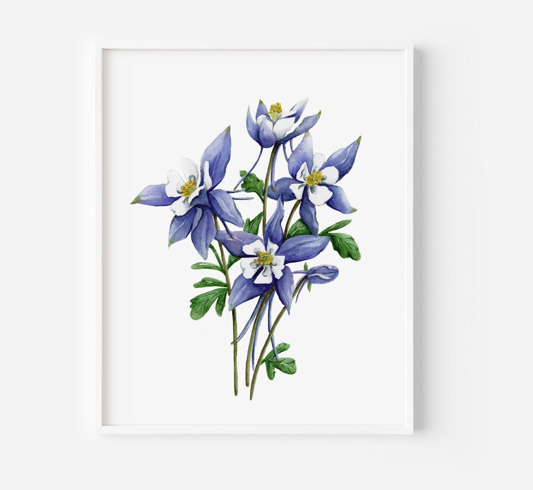 Blue Columbine Watercolor Art Print: Colorado State Flower (8x10) - Etsy