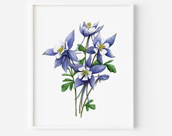 Blue Columbine Watercolor Art Print: Colorado State Flower (8x10)
