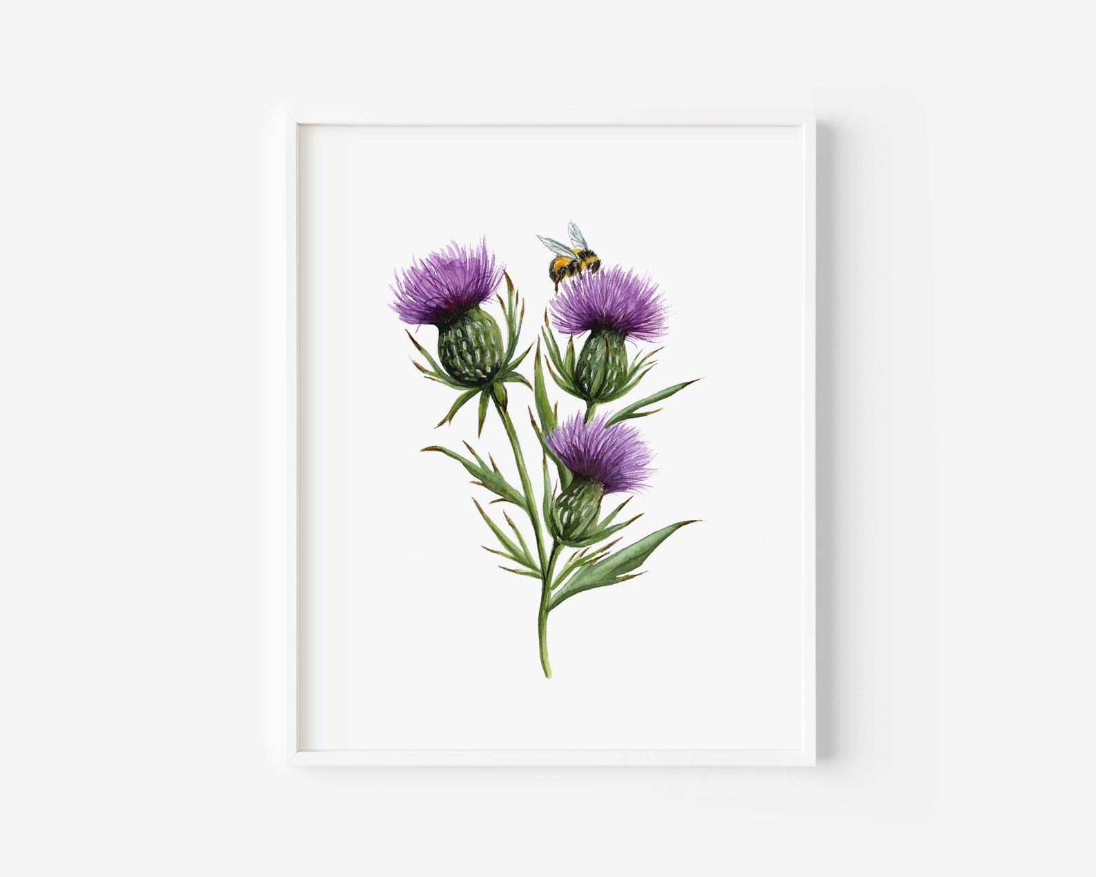Scottish Thistle Watercolor Painting Scottish Thistle Art Etsy
