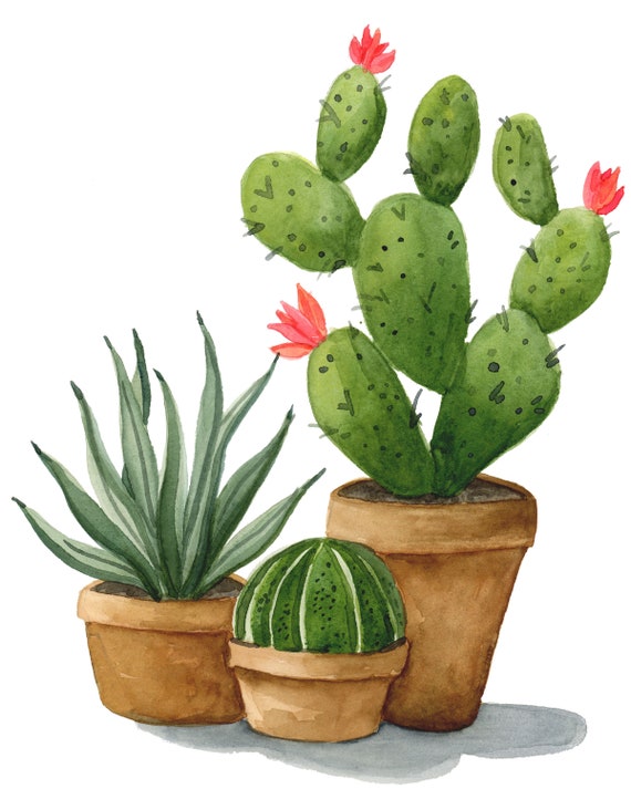 Cactus Watercolor Art Print: Desert Plant Illustration (8x10) - Etsy