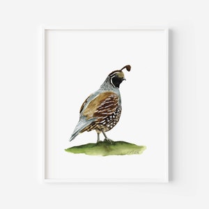 California Quail Watercolor Painting, Quail Art Print, California State Bird, Quail Art, Quail Print, California Bird, Mothers Day Gift 8x10