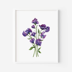 Sweet Pea Flowers Art Print, Blue and Purple Sweet Pea Flowers, Sweet Pea Art Print, Watercolor, Spring Florals, Mothers Day Gift, 8x10