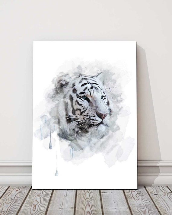 white snow tiger with blue eyes