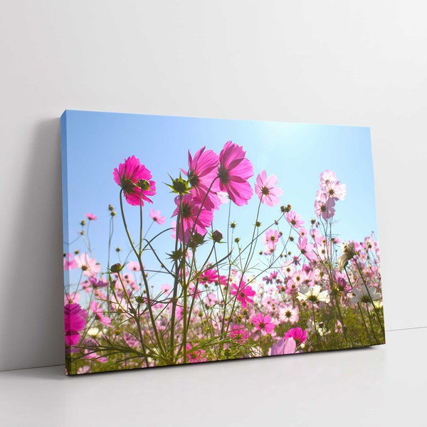 Pink Cosmos wild flowers. Floral image in shades of pink. Canvas Print Wall  art for home or office. Ideal gift.