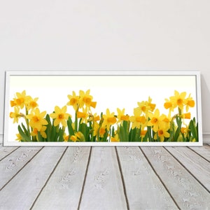 May include: A white frame with a border of yellow daffodils in bloom against a white background.
