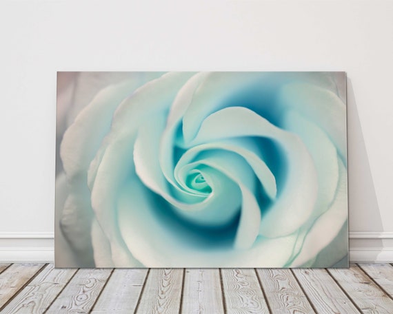 Aquamarine rose sale