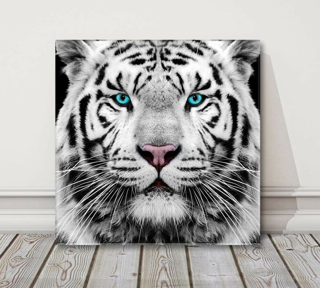 Photo & Art Print Face to face with white bengal tiger