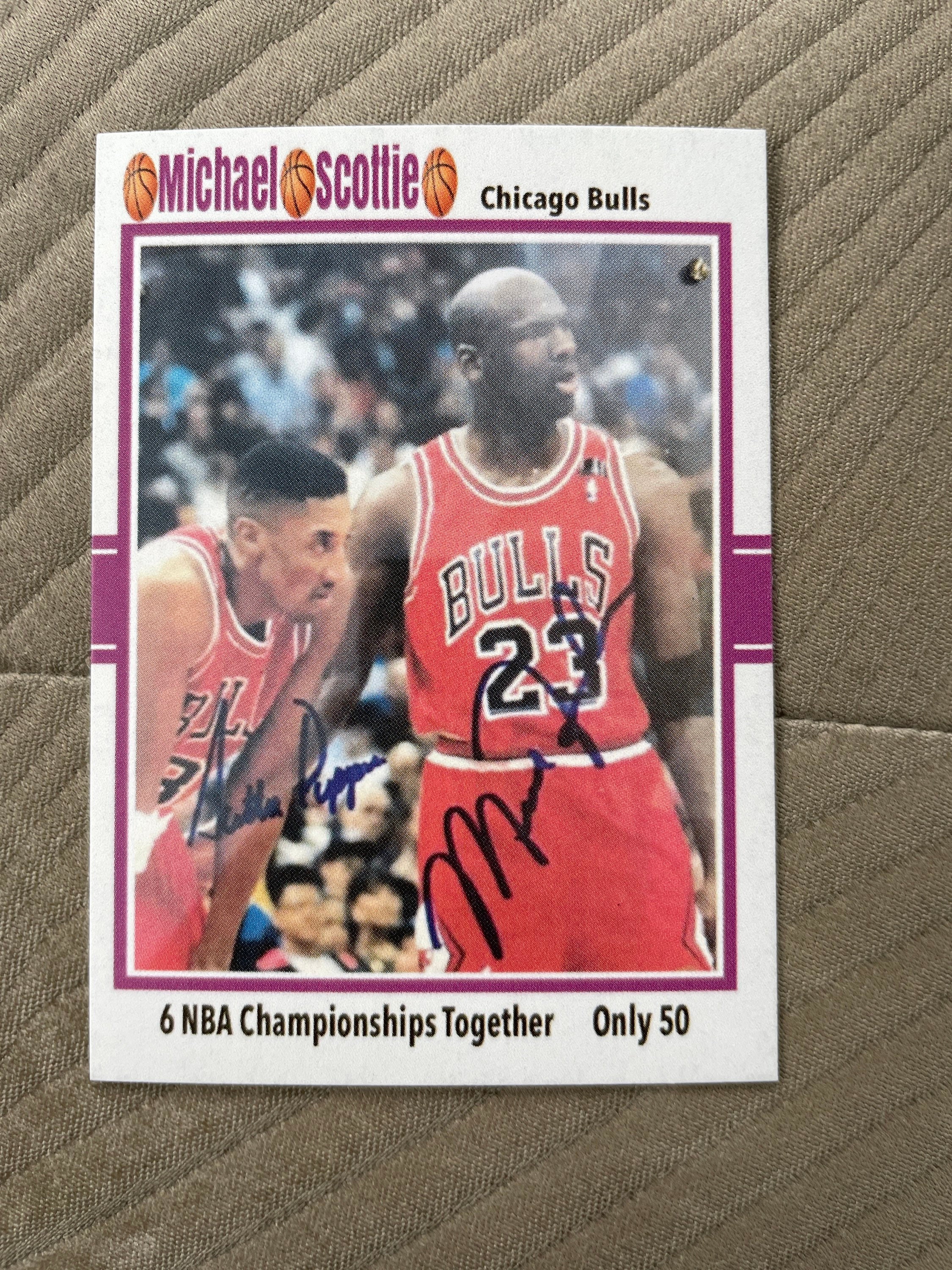Scottie Pippen Chicago Bulls Mitchell & Ness NBA Metal Works Swingman