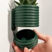 see more listings in the Wall Planters section