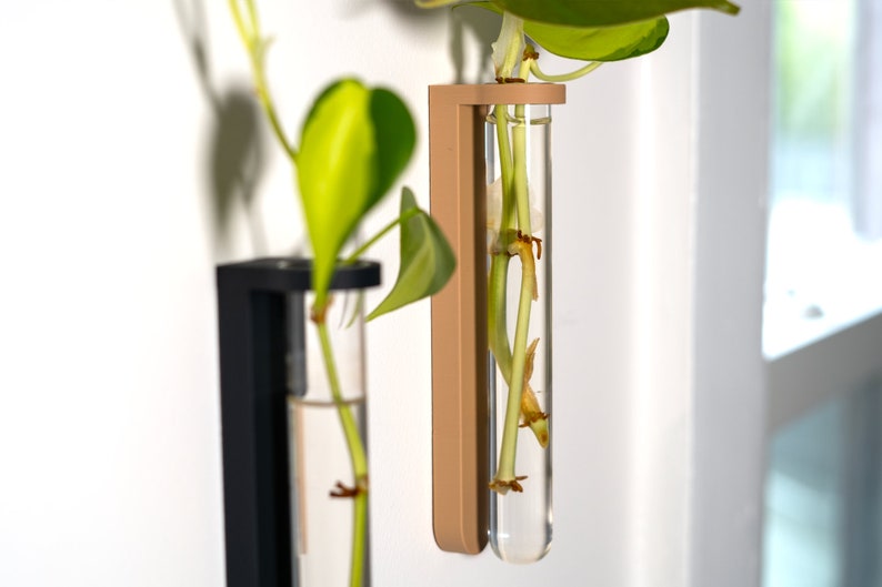 Wall Mounted Plant Propagation Station image 4