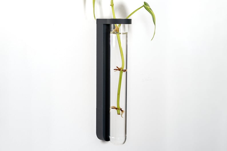 Wall Mounted Plant Propagation Station image 2