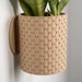see more listings in the Wall Planters section