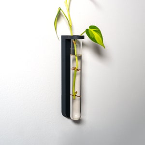 Wall Mounted Plant Propagation Station image 5