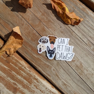 Can I Pet That Dawg?! // Dog Sticker, TikTok Sticker, Laptop Decal, Hydroflask Decal