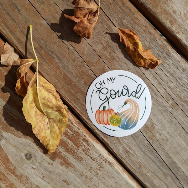 Oh My Gourd! Sticker // Fall Sticker Laptop Sticker Hydroflask Sticker // vinyl pumpkin autumn sticker