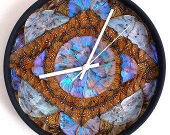 Hippolyta - Large Iridescent Blue Butterfly Wing Wall Clock