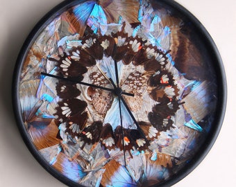Hector - Iridescent Blue and Lilac Butterfly Wing Wall Clock