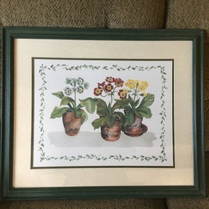 Dipinto ad acquerello originale vintage con cornice e passepartout raffigurante 3 bellissime piante in vaso n. 1