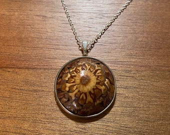 Pinecone Necklace - Real Colorado Pinecone Resin Necklace