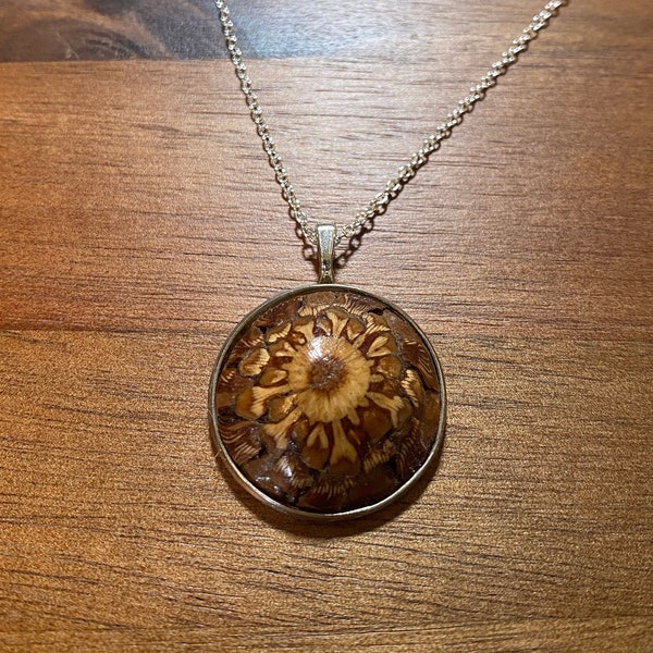 Pinecone Necklace - Real Colorado Pinecone Resin Necklace