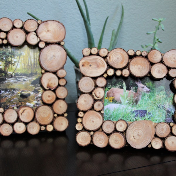 Rustic Picture Frame with Beetle Kill Pine Wood Slices - Real Beetle Kill Wood - 4x6 or 5x7