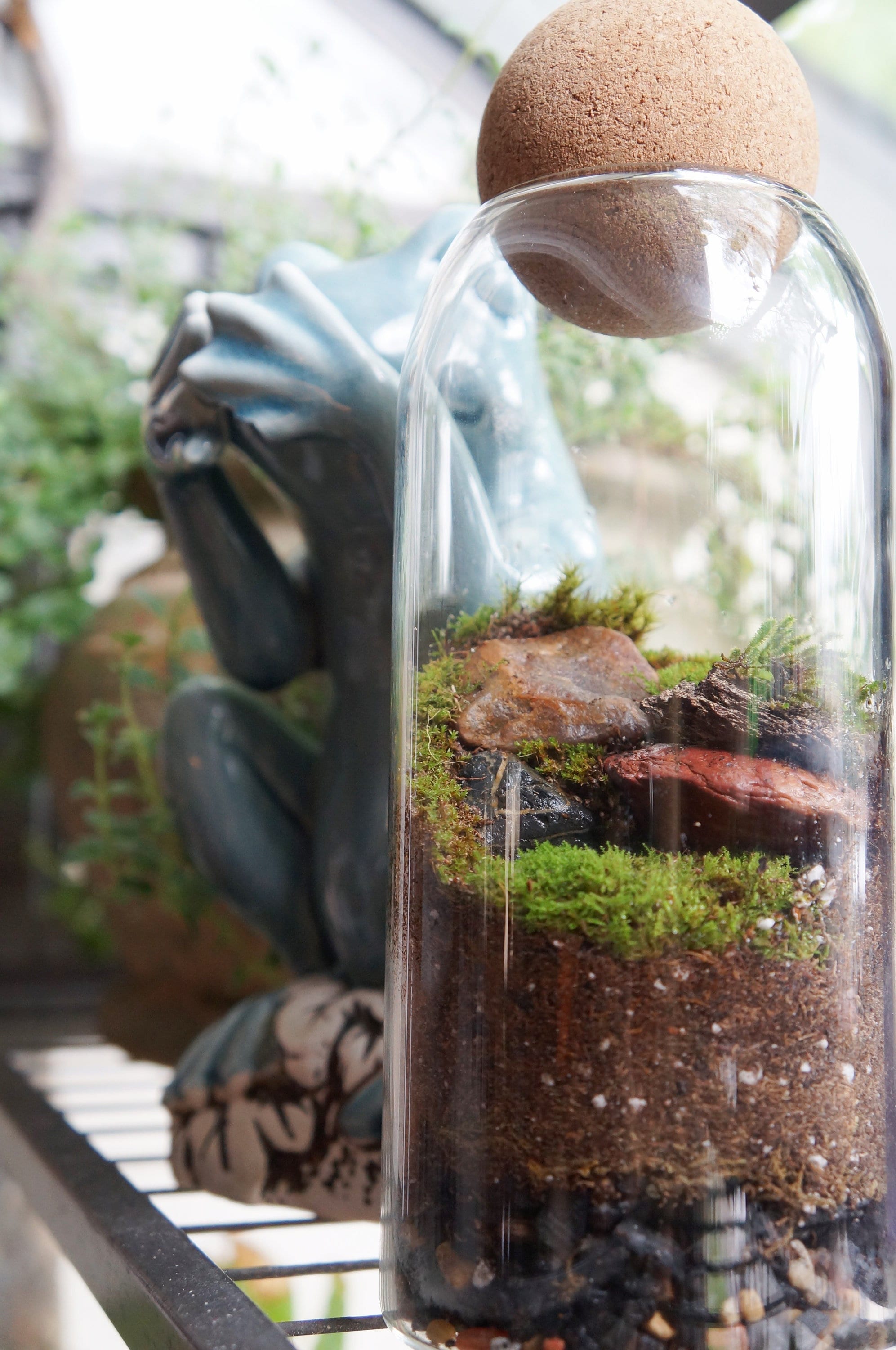 Terrarium Kit Large Jar and Moss Included Gift Ideas Centerpieces Plant Lovers Fairy Garden Science Project Party Favors