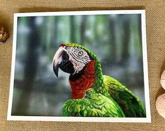 Macaw - Wildlife Fine Art Print | Limited Edition prints| Original Acrylic Painting on Canvas Print