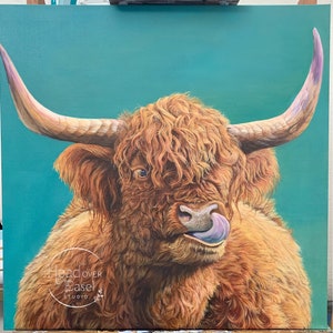 Original Acrylic Painting on canvas Highland cow | fine art giclée prints  | Large paintings